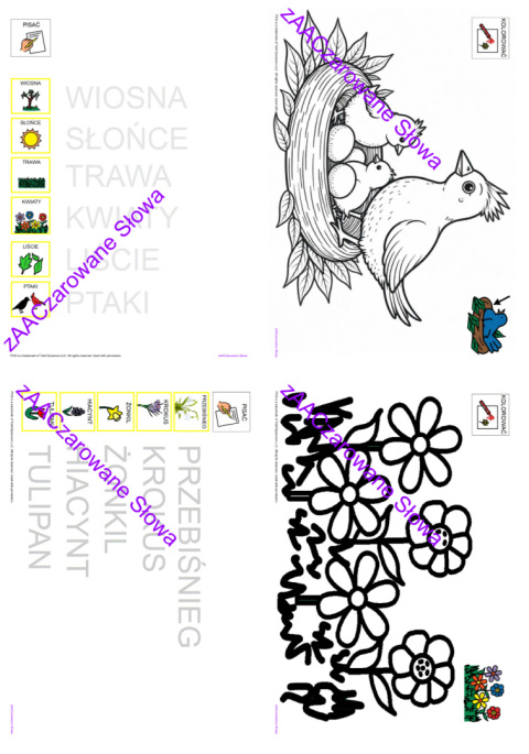 WIOSNA - CAŁY PAKIET AAC, SYMBOLE PCS