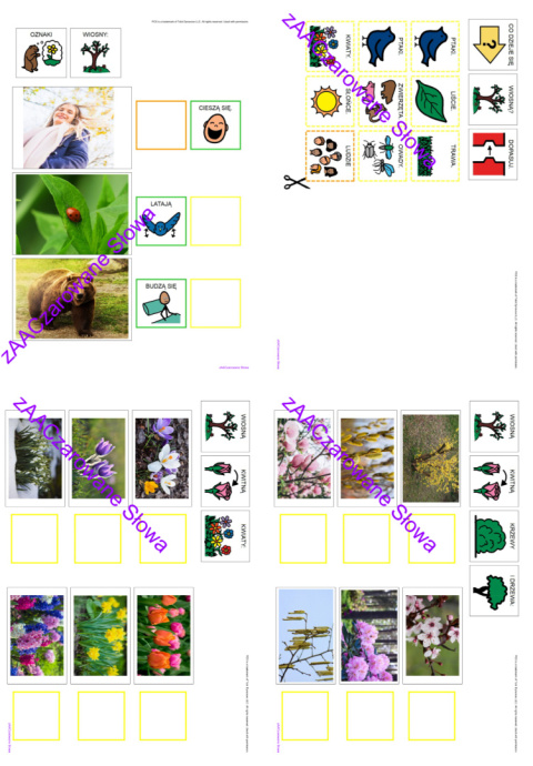 WIOSNA - CAŁY PAKIET AAC, SYMBOLE PCS