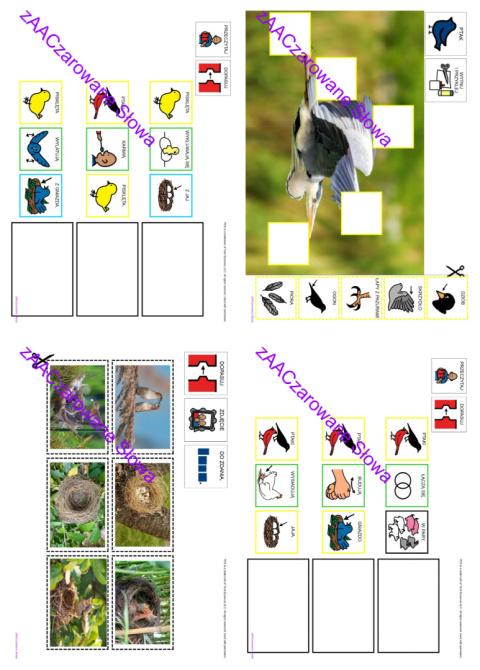 WIOSNA - CAŁY PAKIET AAC, SYMBOLE PCS