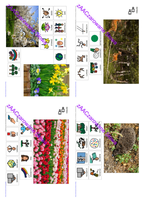 "WITAMY CIĘ WIOSNO" - piosenka z repertuaru Muzycznej Kurtyny - link do pobrania w opisie