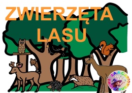 DZIKIE ZWIERZĘTA - CAŁY PAKIET AAC, KARTY PRACY, SYMBOLE PCS