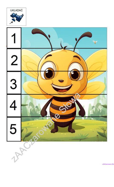 ŁĄKA - CAŁY PAKIET AAC, SYMBOLE PCS