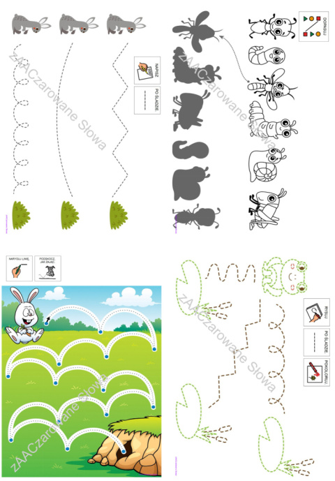 ŁĄKA - CAŁY PAKIET AAC, SYMBOLE PCS