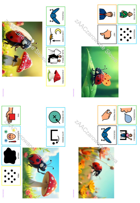 ŁĄKA - CAŁY PAKIET AAC, SYMBOLE PCS