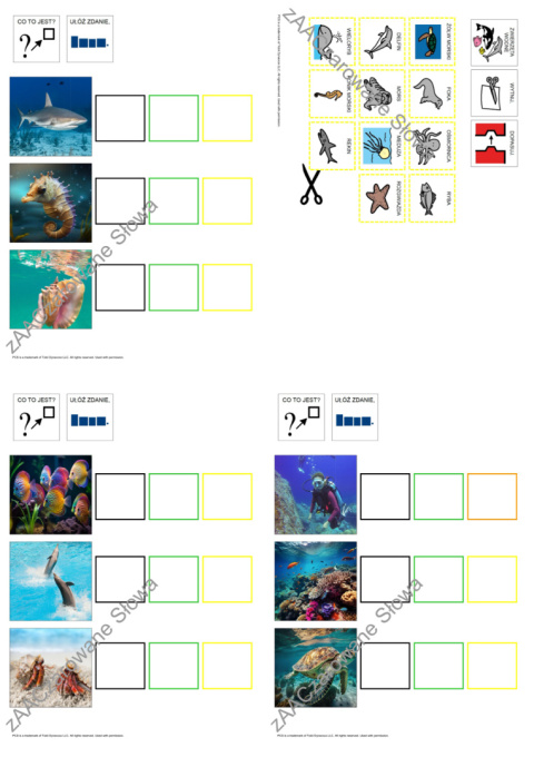 MORZE - CAŁY PAKIET, KARTY PRACY AAC, SYMBOLE PCS