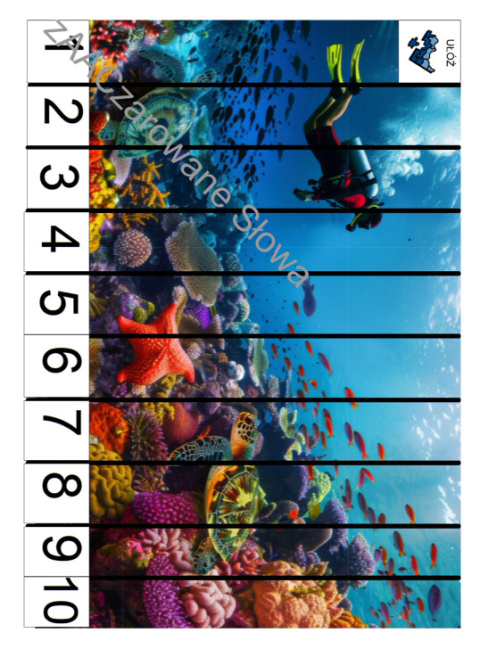 MORZE - CAŁY PAKIET, KARTY PRACY AAC, SYMBOLE PCS