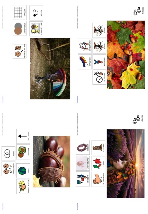 "WARKOCZ Z LIŚCI" - piosenka z repertuaru MUZYCZNEJ KURTNY - link do pobrania w opisie