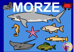 MORZE - CAŁY PAKIET, KARTY PRACY AAC, SYMBOLE PCS